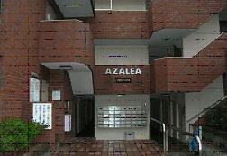 Azalea(Entrance)